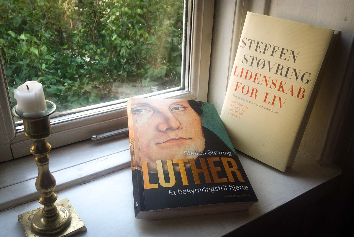 boeger-i-vindue2-aug-2016-IMG_1223